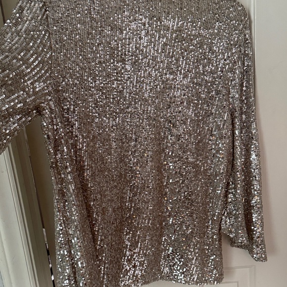 Cable & Gauge Sparkling Silver Sequin Top, Holiday Sequin Top, Large - Picture 11 of 13